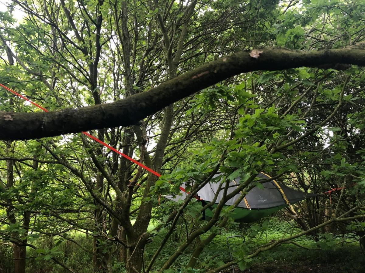Naturecamp Куксхафен Экстерьер фото